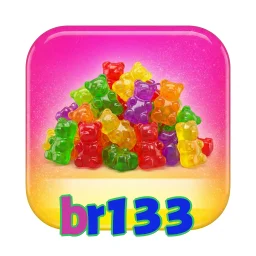 br133